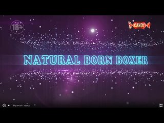 natural born boxer anna grace